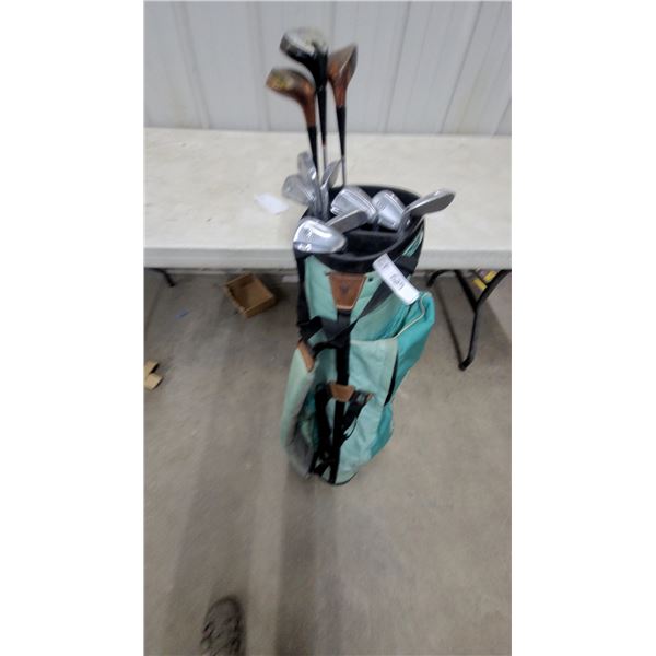 11 Walter Hagen Ultra Woods and MacGregor VIP Irons Golf Set in Teal Bag