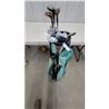 Image 1 : 11 Walter Hagen Ultra Woods and MacGregor VIP Irons Golf Set in Teal Bag