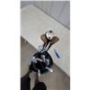 Image 2 : 11 Walter Hagen Ultra Woods and MacGregor VIP Irons Golf Set in Teal Bag