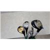 Image 3 : Wilson 1200 LT and Waterford Golf Club Set with Irons in Red Bag with Green Dividers