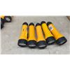 Image 3 : 18 Flashlights