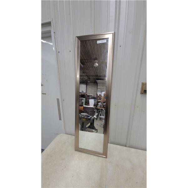 Full-Length Rectangular Wall Mirror with Champagne Metallic Frame 15”×51”
