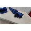 Image 3 : Two Blue Folded Outdoor chairs