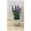 Image 5 : Assorted Planters and Pots: Red, Gray, White, and Gold Ceramic; Blue Plastic; Faux Lavender Plant
