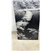Image 4 : Black and White Canvas Art, 24 × 9” and Black Metal Plant Stand 20” Tall