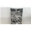 Image 5 : Black and White Canvas Art, 24 × 9” and Black Metal Plant Stand 20” Tall
