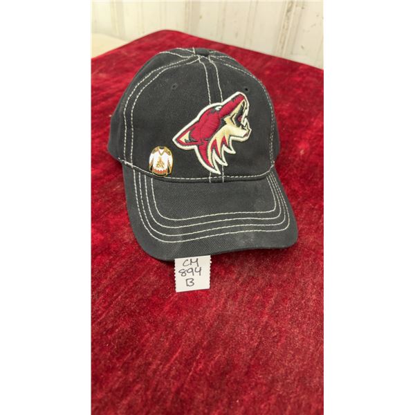 Never Worn Phoenix Coyotes Hat With Pin