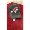 Image 1 : Never Worn Phoenix Coyotes Hat With Pin