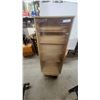 Image 1 : Tall Wooden Display Curio Cabinet with Glass Door, Lockable, Rolling Base