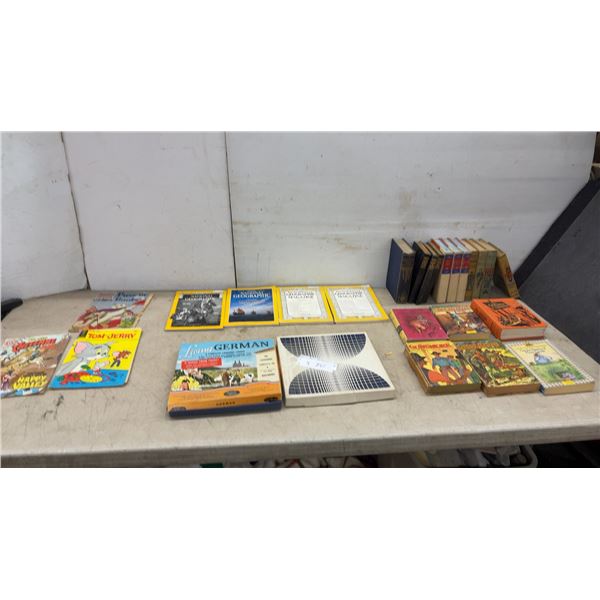 Vintage: Comics, National Geographic Magazines, and Assorted Books