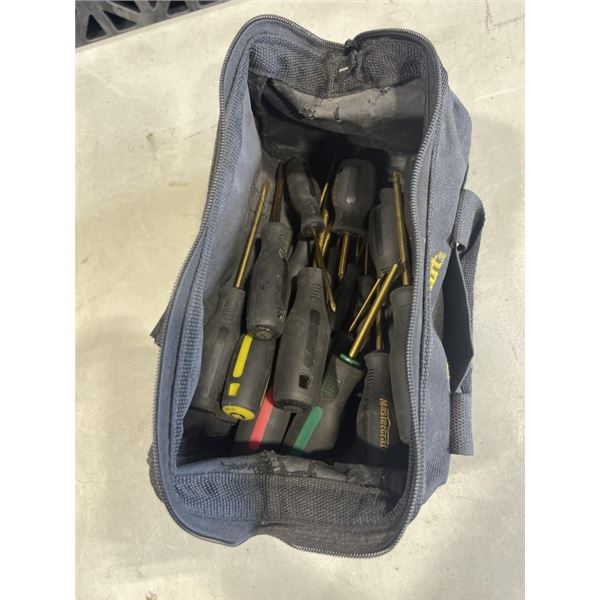 MASTERCRAFT TOOL BAG WITH PHILIPS TOREX SCREWDRIVERS