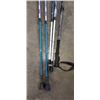 Image 3 : 2 PAIRS OF SKIING POLES AND A BLUE MAT