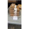 Image 1 : 8 NEW ANATOMY LAB HUMAN SKELETON MODELS
