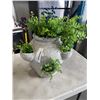 Image 1 : OUTDOOR PLANT POT