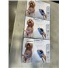 Image 1 : 3 AQUAPAW PRO PET GROOMING TOOLS