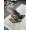 Image 2 : TAXODERMIED BIRD ON WOOD