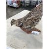 Image 3 : TAXODERMIED BIRD ON WOOD
