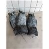 Image 1 : Owl decoys
