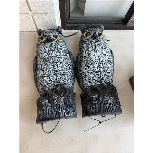 Owl decoys