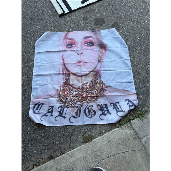 Popstar flag INGUA