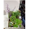 Image 1 : Artificial plant