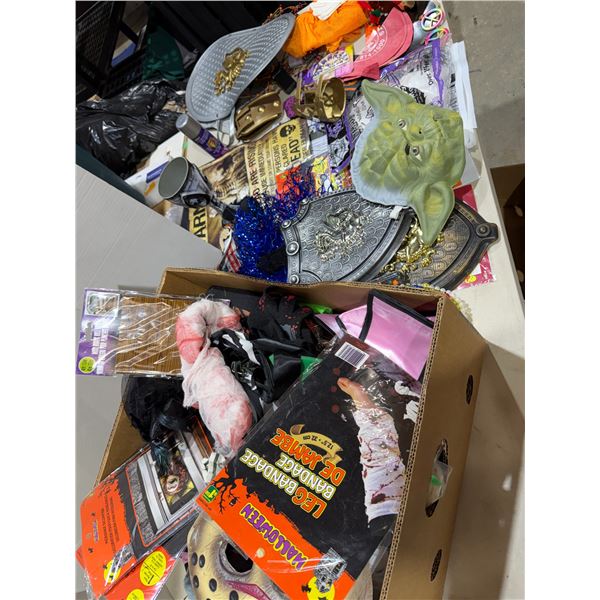 Halloween decor and costumes