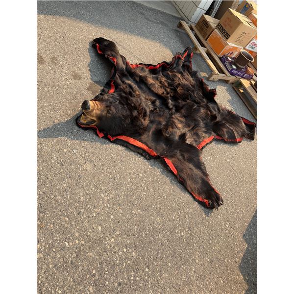 Bear rug