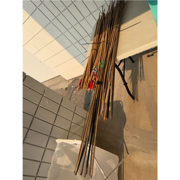 Bamboo