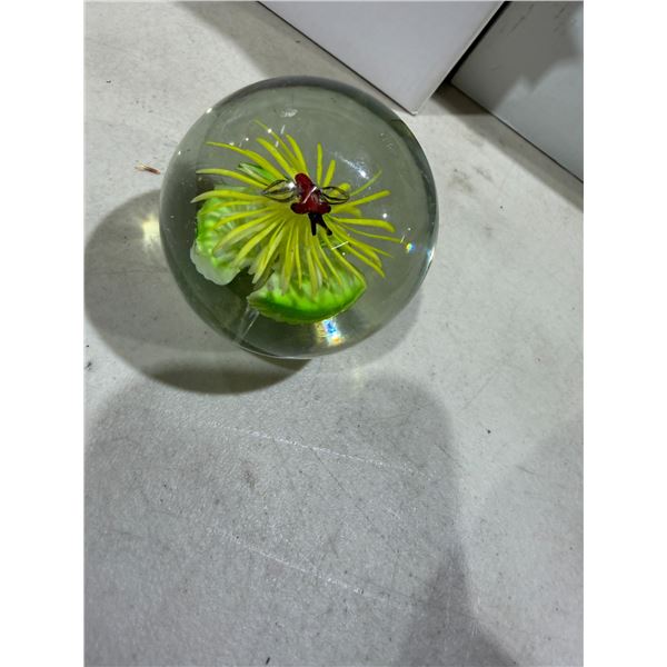 Paperweight