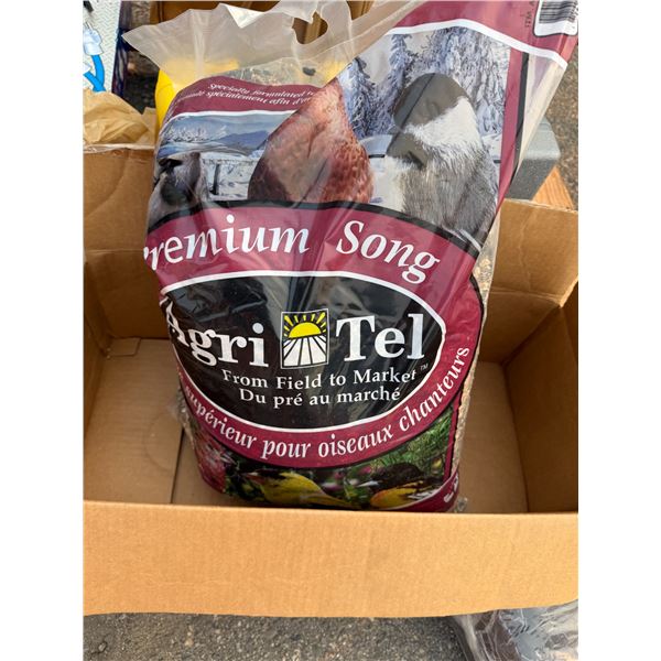 Bird food
