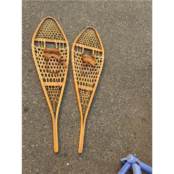 Snow shoes