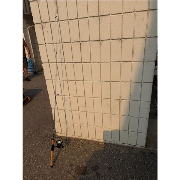 Fishing rod, and Reel