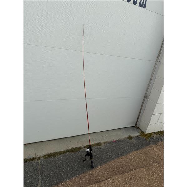 Fishing rod with Real