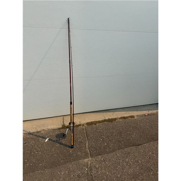 Fishing rod and reel