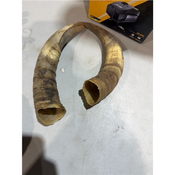 Horns
