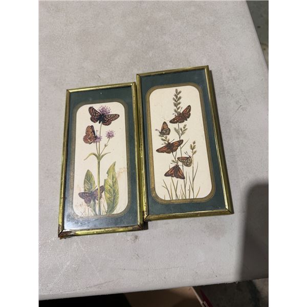 Butterfly framed art while hanging