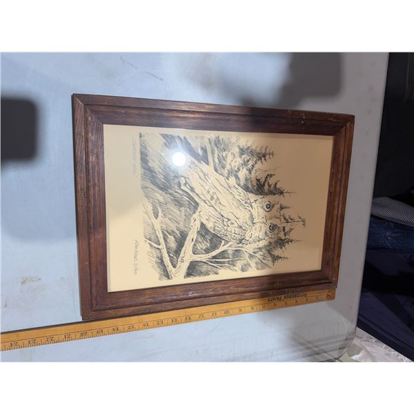 Screech owl artwork Ranger 7/160