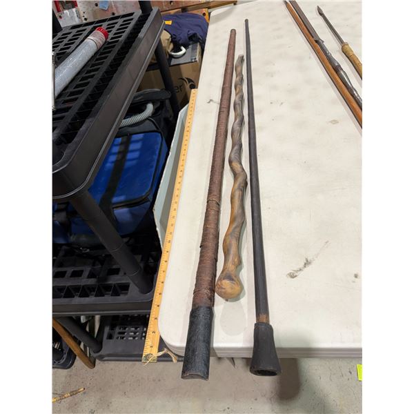 Walking sticks