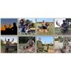 Image 1 : 2 Day / 2 Night Youth Whitetail Management Hunt