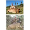 Image 2 : 7 Day Eastern Cape South Africa Hunt