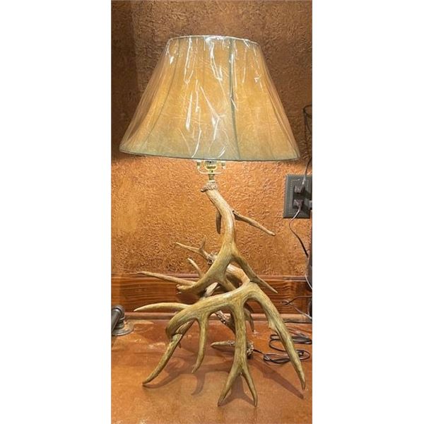 Beautiful Whitetail Antler Lamp