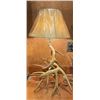 Image 1 : Beautiful Whitetail Antler Lamp