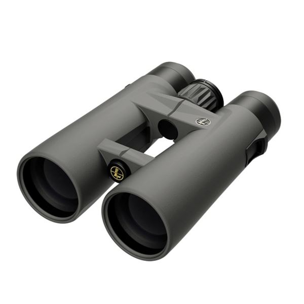 Leupold BX-4 PRO GUIDE HD GEN 2 10x50mm