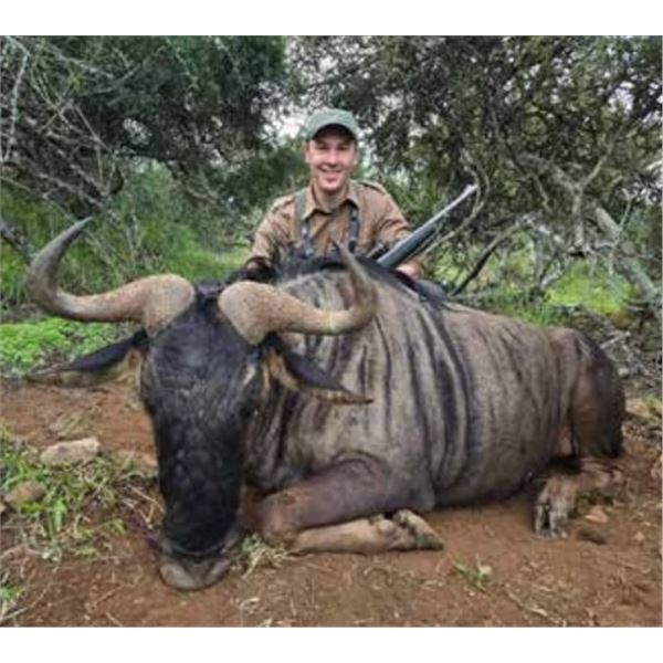 7 Days of Hunting, 2 Hunters, 4 Animals, & Licenses - PAC Donation