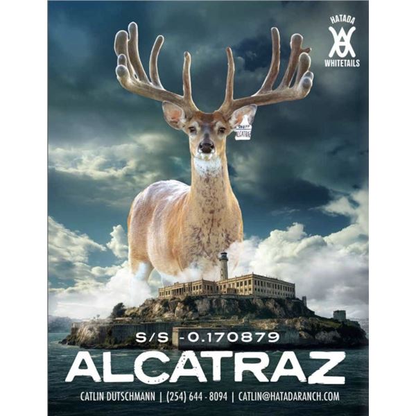 TRACKS Magazine 2027 - Back Cover