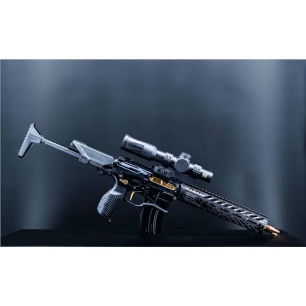 Custom built AR-15 6 ARC