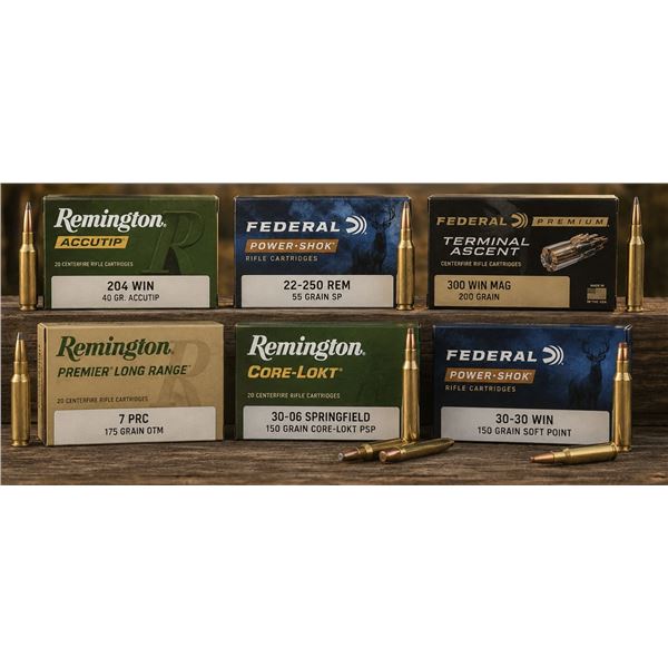 Ammo Package - Multiple Caliber Case with Federal & Remington