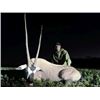 Image 1 : 2 Day / 2 Night Full Guided Gemsbok Hunt in March 2027