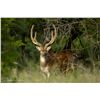 Image 1 : 3 Day / 2 Night All Inclusive Trophy Hunt