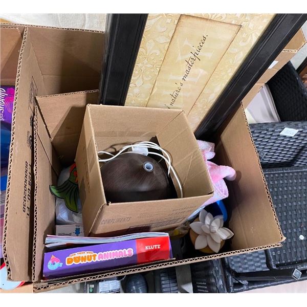 BOX LOT